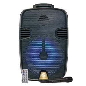 BAFLE SERIE DORADA SD-12 2000W PMPO